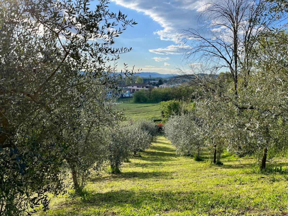 Il Nido Di Margherita San Giovanni Valdarno Exterior photo